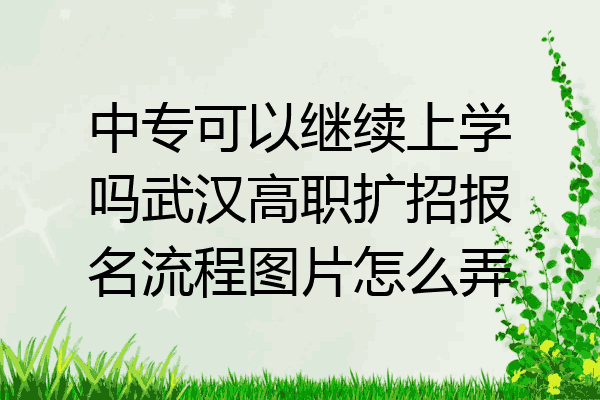 中专可以继续上学吗武汉高职扩招报名流程图片怎么弄