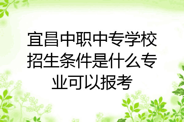 宜昌中职中专学校招生条件是什么专业可以报考