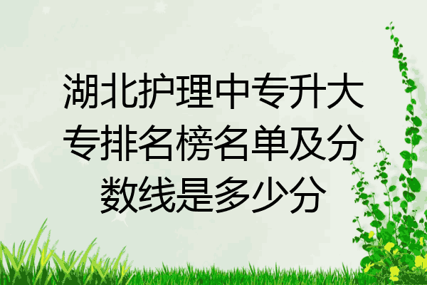 湖北护理中专升大专排名榜名单及分数线是多少分