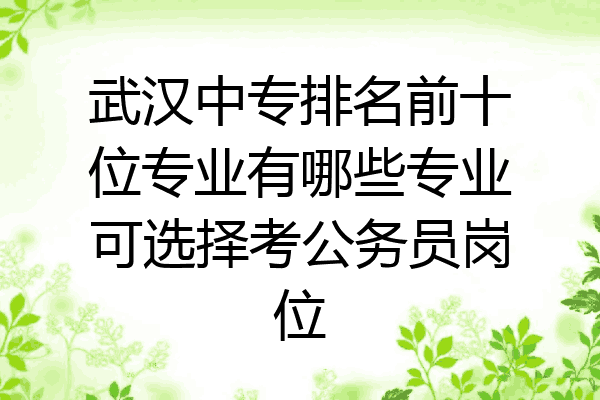武汉中专排名前十位专业有哪些专业可选择考公务员岗位