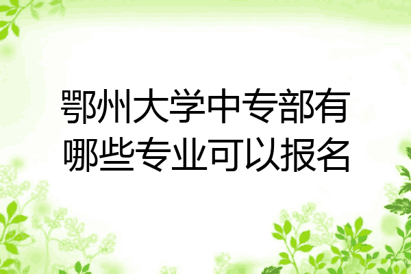 鄂州大学中专部有哪些专业可以报名