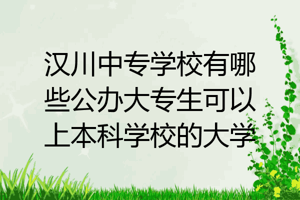 汉川中专学校有哪些公办大专生可以上本科学校的大学