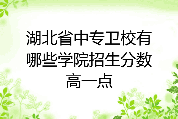 湖北省中专卫校有哪些学院招生分数高一点