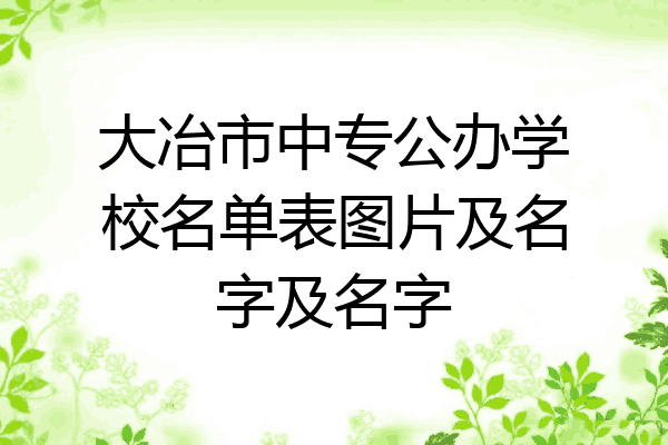 大冶市中专公办学校名单表图片及名字及名字