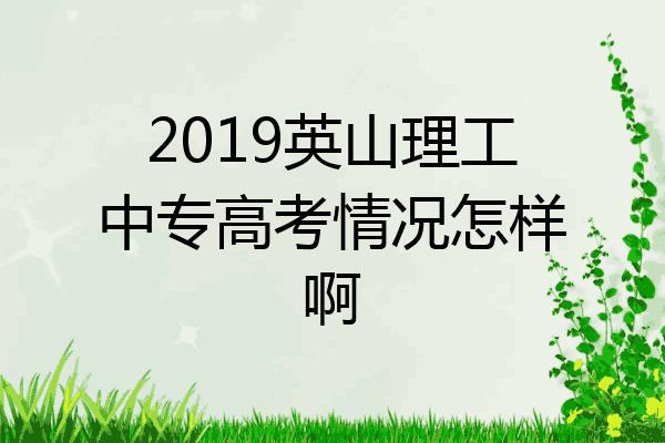 2019英山理工中专高考情况怎样啊