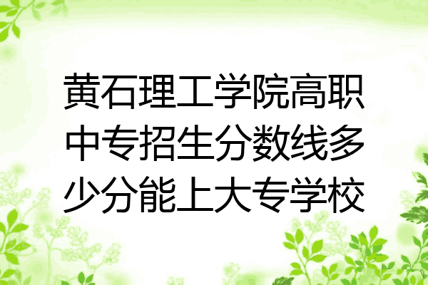 黄石理工学院高职中专招生分数线多少分能上大专学校