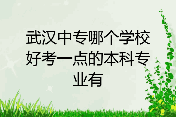 武汉中专哪个学校好考一点的本科专业有