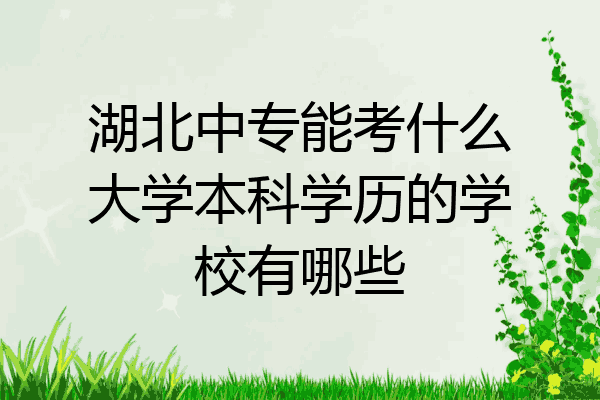 湖北中专能考什么大学本科学历的学校有哪些