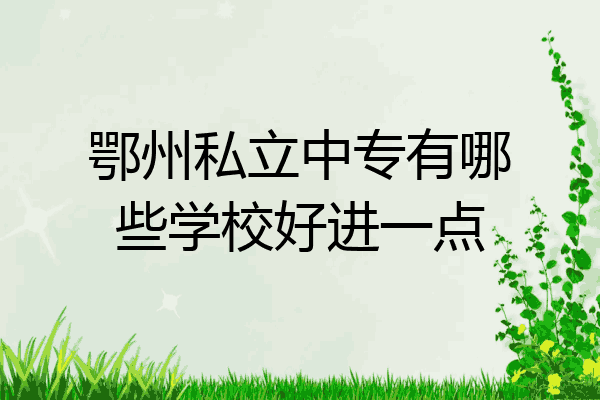 鄂州私立中专有哪些学校好进一点