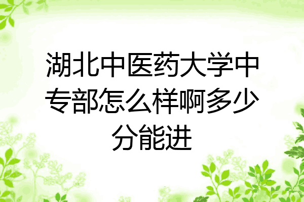 湖北中医药大学中专部怎么样啊多少分能进