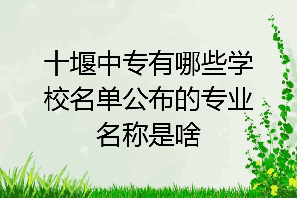 十堰中专有哪些学校名单公布的专业名称是啥