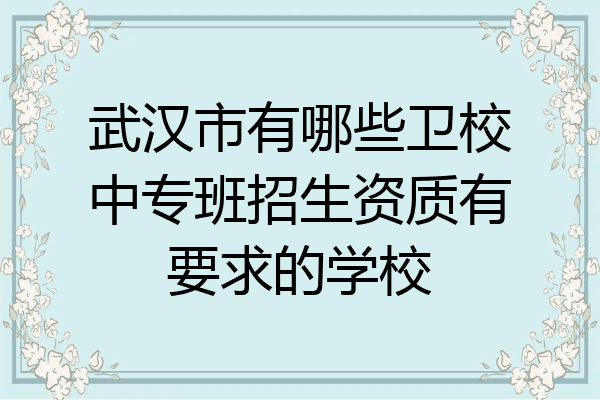 武汉市有哪些卫校中专班招生资质有要求的学校