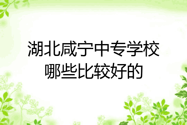 湖北咸宁中专学校哪些比较好的