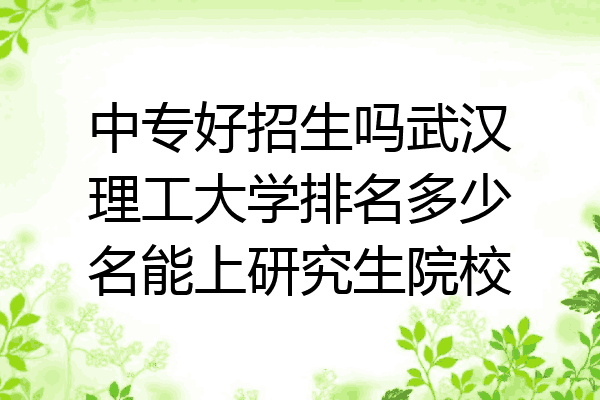 中专好招生吗武汉理工大学排名多少名能上研究生院校