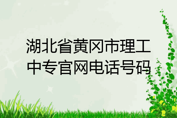 湖北省黄冈市理工中专官网电话号码