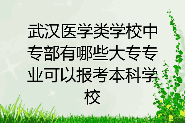 武汉医学类学校中专部有哪些大专专业可以报考本科学校
