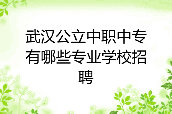 武汉公立中职中专有哪些专业学校招聘