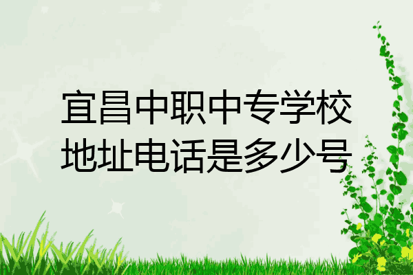 宜昌中职中专学校地址电话是多少号