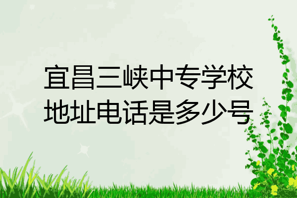 宜昌三峡中专学校地址电话是多少号