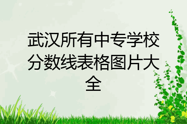 武汉所有中专学校分数线表格图片大全