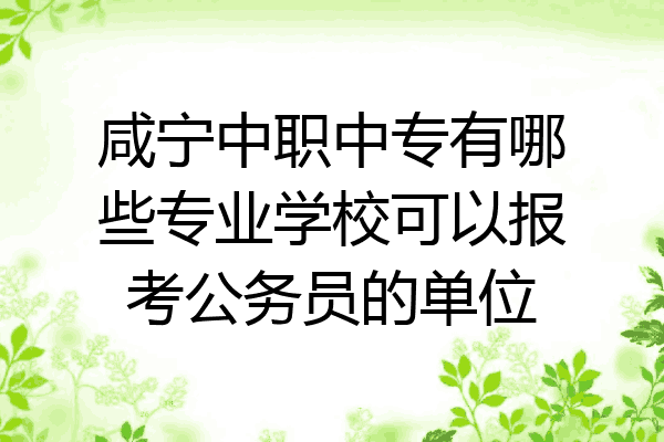 咸宁中职中专有哪些专业学校可以报考公务员的单位