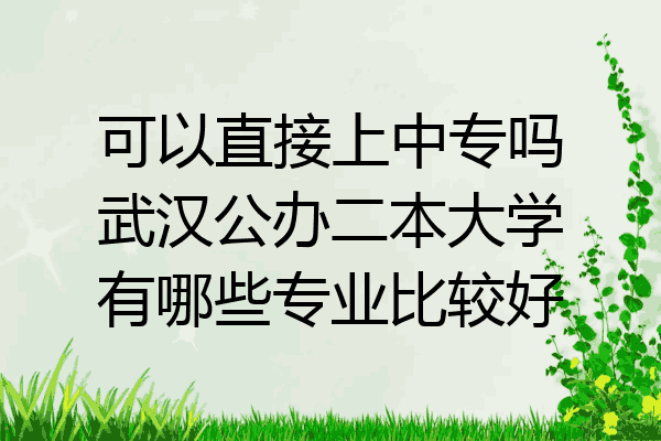 可以直接上中专吗武汉公办二本大学有哪些专业比较好