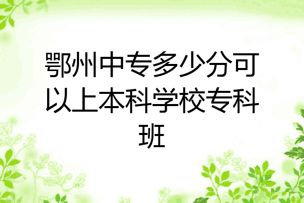 鄂州中专多少分可以上本科学校专科班