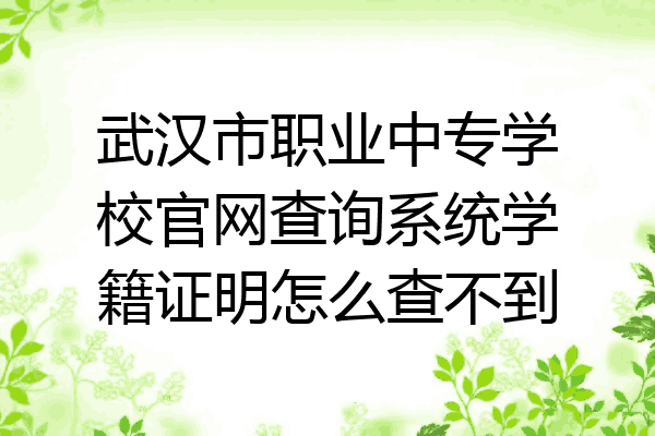 武汉市职业中专学校官网查询系统学籍证明怎么查不到