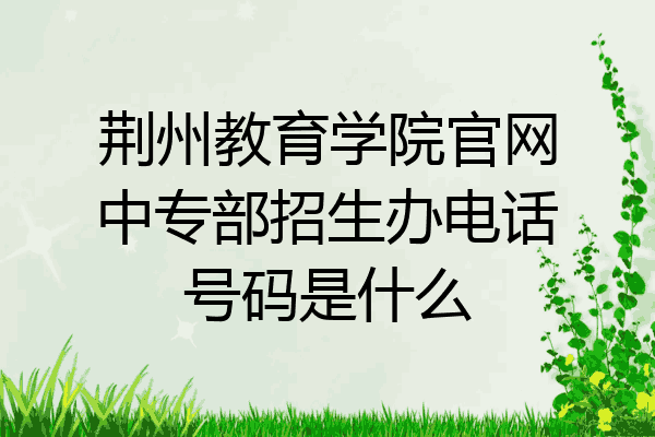荆州教育学院官网中专部招生办电话号码是什么