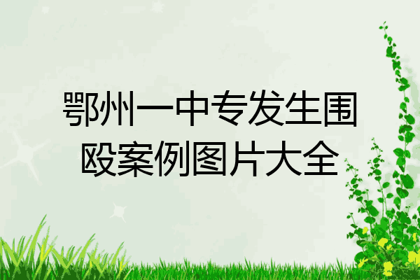 鄂州一中专发生围殴案例图片大全
