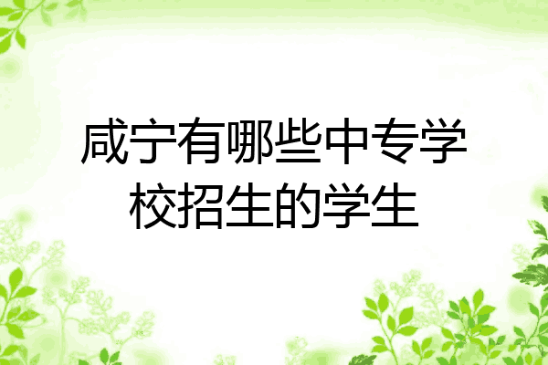 咸宁有哪些中专学校招生的学生