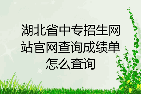 湖北省中专招生网站官网查询成绩单怎么查询