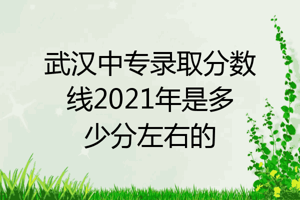 武汉中专录取分数线2021年是多少分左右的
