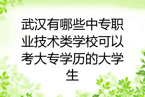 武汉有哪些中专职业技术类学校可以考大专学历的大学生