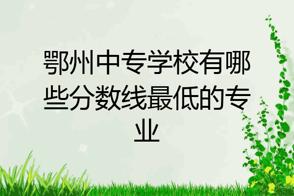 鄂州中专学校有哪些分数线最低的专业