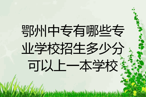 鄂州中专有哪些专业学校招生多少分可以上一本学校