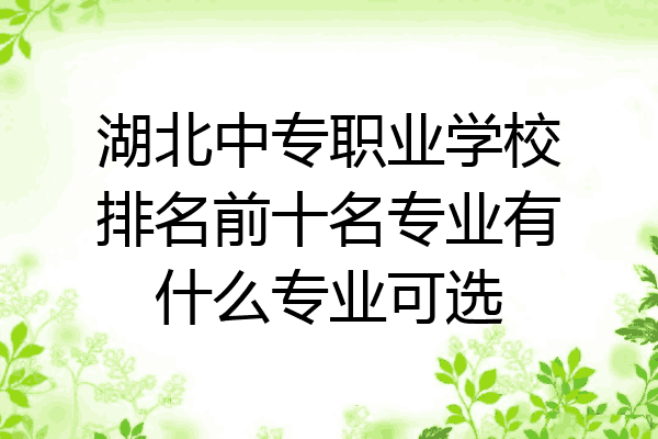 湖北中专职业学校排名前十名专业有什么专业可选