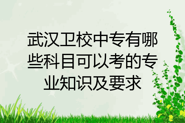 武汉卫校中专有哪些科目可以考的专业知识及要求
