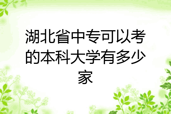 湖北省中专可以考的本科大学有多少家