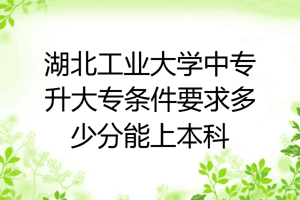 湖北工业大学中专升大专条件要求多少分能上本科