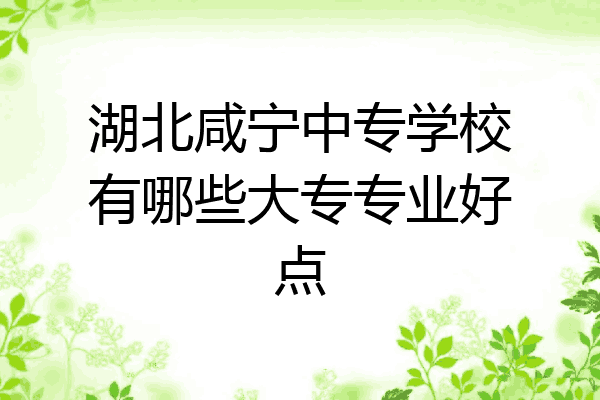 湖北咸宁中专学校有哪些大专专业好点