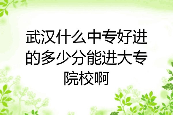 武汉什么中专好进的多少分能进大专院校啊