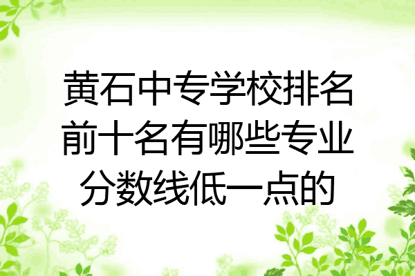 黄石中专学校排名前十名有哪些专业分数线低一点的