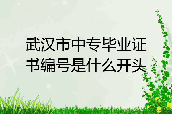 武汉市中专毕业证书编号是什么开头