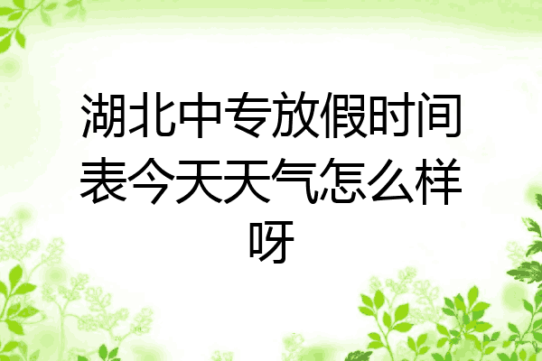 湖北中专放假时间表今天天气怎么样呀