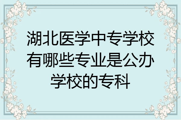 湖北医学中专学校有哪些专业是公办学校的专科