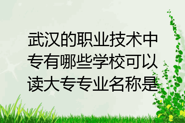 武汉的职业技术中专有哪些学校可以读大专专业名称是