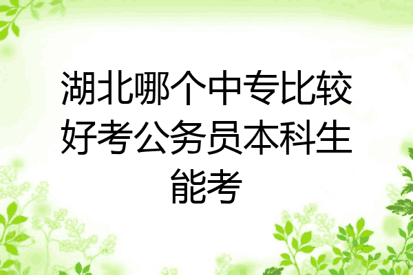 湖北哪个中专比较好考公务员本科生能考