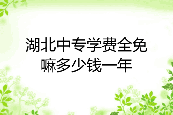 湖北中专学费全免嘛多少钱一年