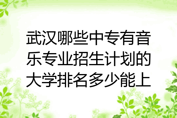 武汉哪些中专有音乐专业招生计划的大学排名多少能上